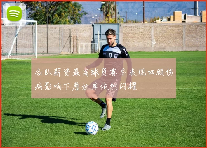 各队薪资最高球员赛季表现回顾伤病影响下詹杜库依然闪耀